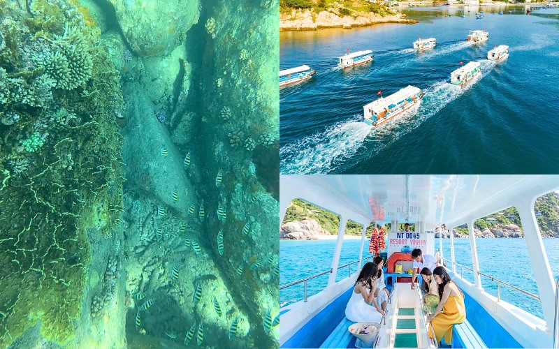 Khám phá thế giới san hô mà không cần lặn biển Khám phá thế giới san hô mà không cần lặn biển
